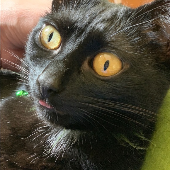 Meet your Posher, Deb - Picture 1 of 1